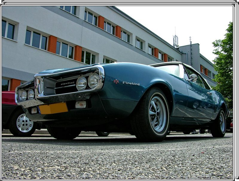 DSCN5294.jpg