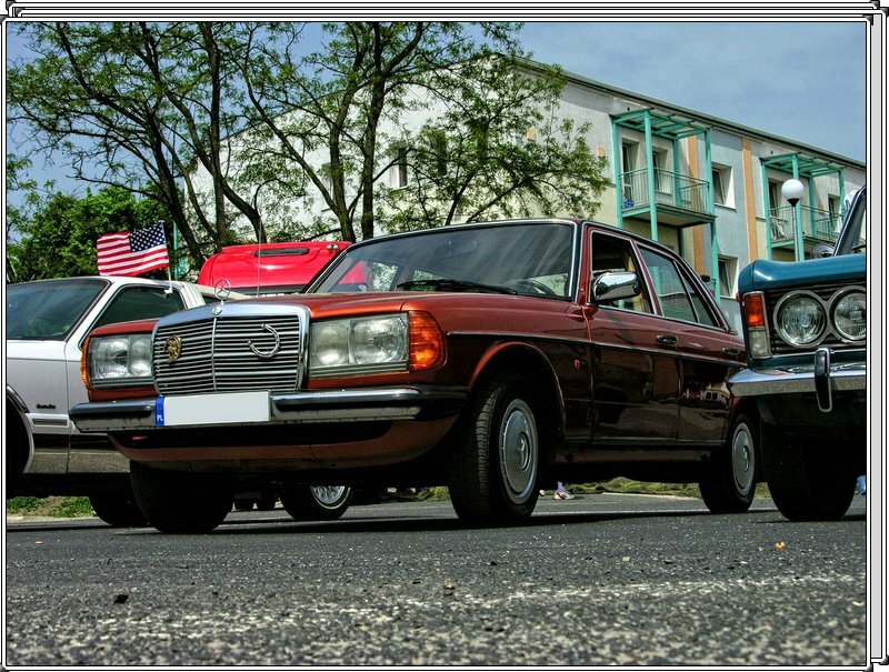 DSCN5319.jpg