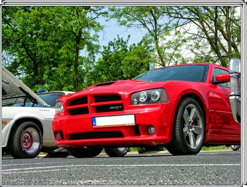 DSCN5329.jpg