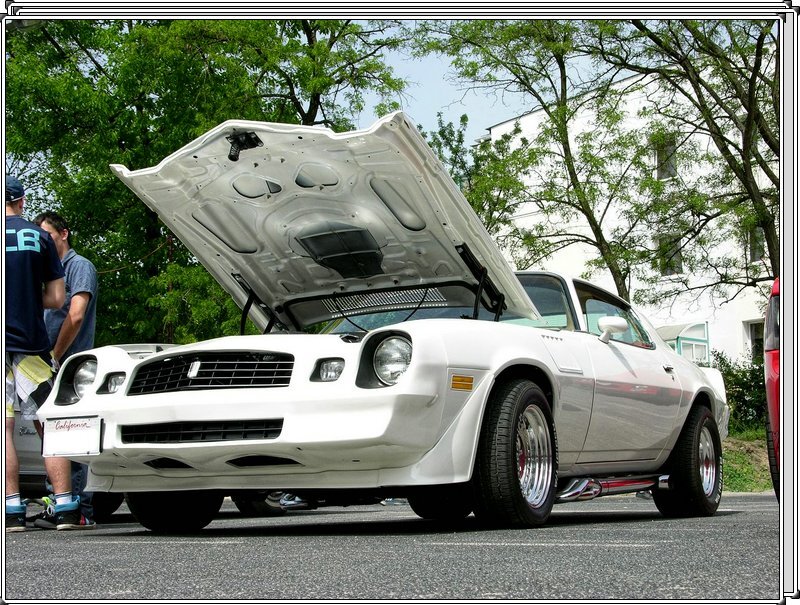 DSCN5338.jpg