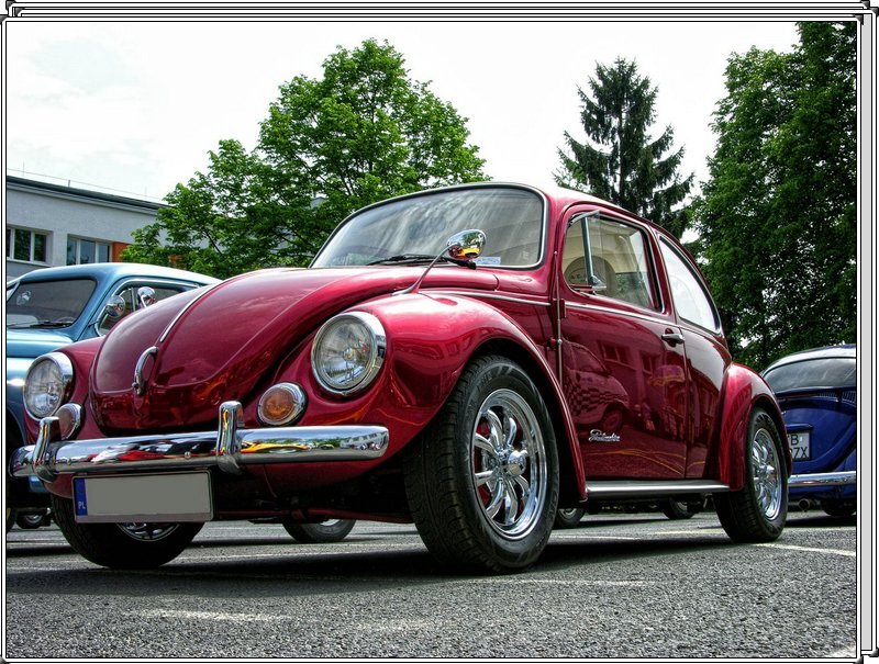 DSCN5345.jpg