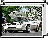 DSCN5338.jpg