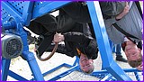IMG_6928.JPG