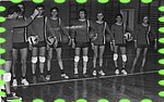 1973-siatkarze.jpg