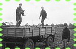 1973-wykopki 73-4-1.jpg