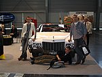 Targi 120.jpg Targi 120.jpg