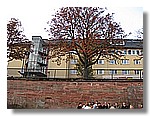 034.JPG