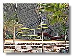 134.jpg