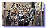 515.JPG