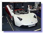 548.JPG