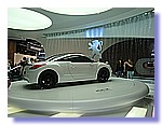 555.JPG
