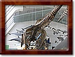 IMG_3891.JPG