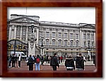 IMG_3941.JPG