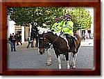 IMG_4069.JPG