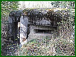 IMG_0119.JPG