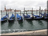 IMG_5504.JPG