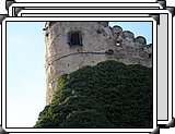 PA290149.JPG