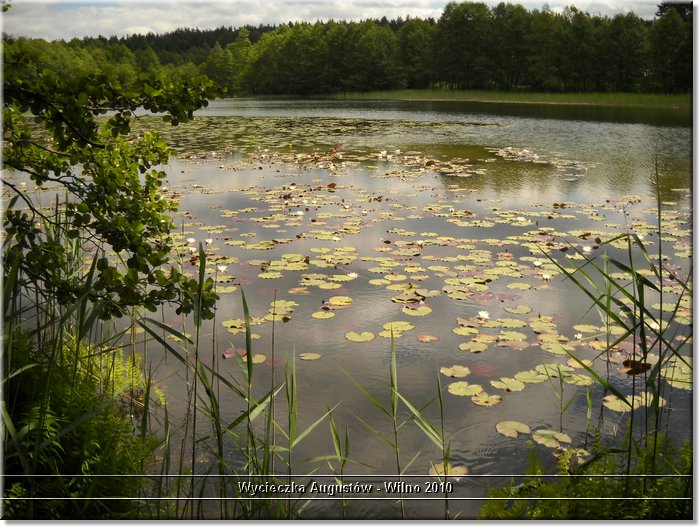 DSCN2746.JPG