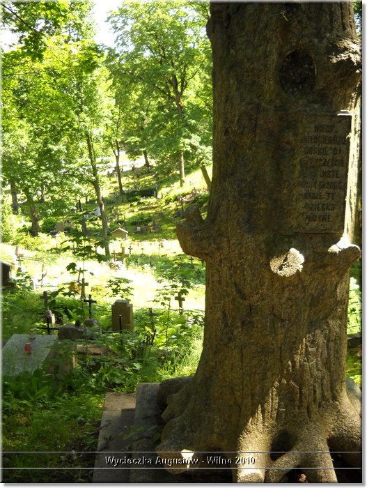 DSCN2775.JPG