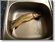 DSCN2723.JPG