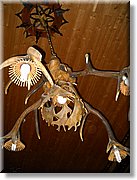 DSCN2741.JPG