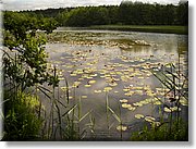 DSCN2746.JPG
