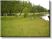 DSCN2749.JPG