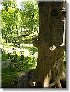 DSCN2775.JPG