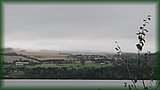 IMG_6857.JPG