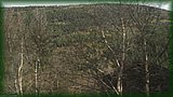IMG_6876.JPG