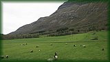 IMG_6950.JPG