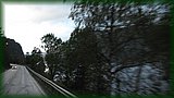IMG_7017.JPG