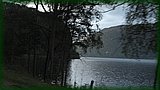 IMG_7018.JPG