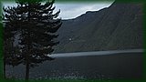 IMG_7019.JPG