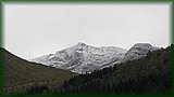 IMG_7037.JPG