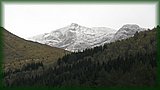 IMG_7038.JPG