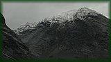 IMG_7079.JPG