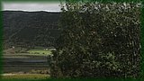 IMG_7103.JPG