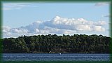 IMG_7372.JPG