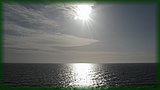 IMG_7424.JPG