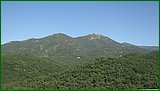 IMG_2339.JPG