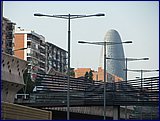 IMG_2555.JPG