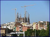 IMG_2558.JPG
