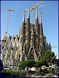 IMG_2567.JPG
