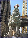 IMG_2578.JPG