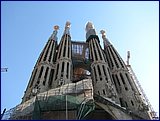 IMG_2584.JPG