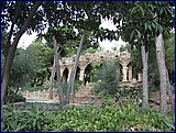 IMG_2598.JPG