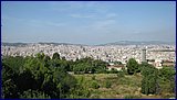 IMG_2755.JPG