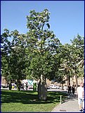 IMG_2764.JPG