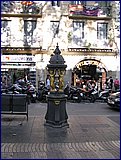 IMG_2822.JPG